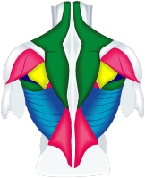 ���ь���,�����ь���,���ё΍�,�����ё΍�